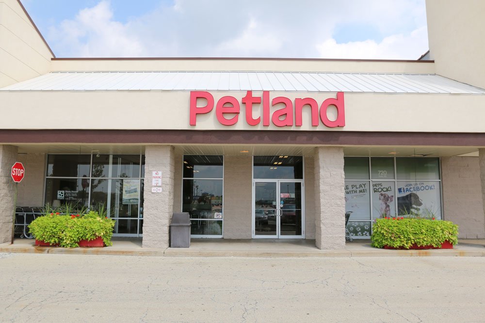 Petland puppies store and Dog Supplies